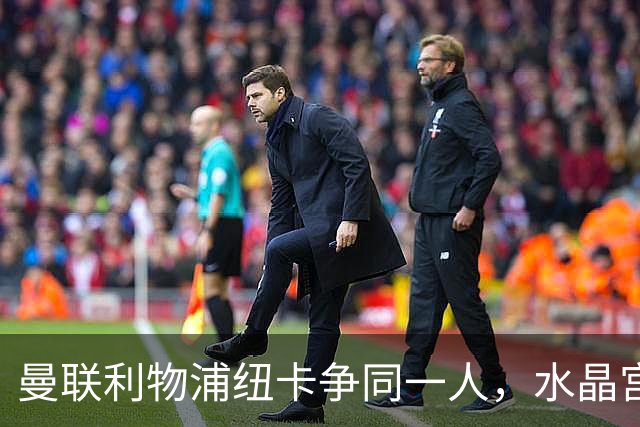 曼联利物浦纽卡争同一人，水晶宫标价6500万欧